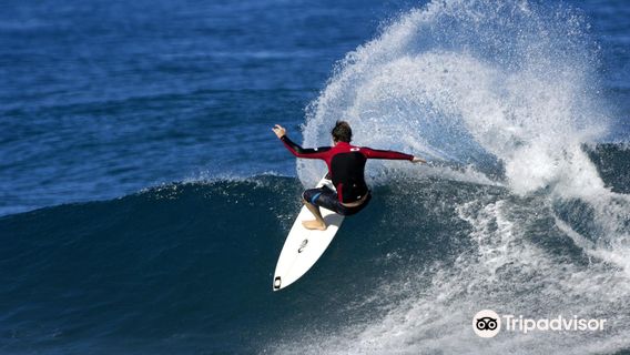 Aotearoa Surf School & Board Hire