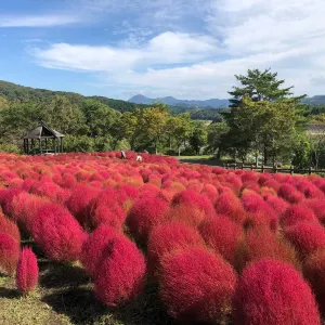 るるパーク(大分農業文化公園)
