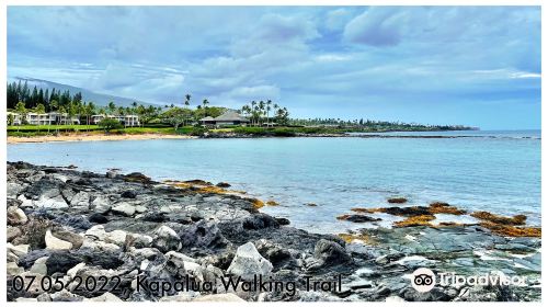 Kapalua Coastal Trail