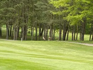 The Links at Bowen Lake Golf Course and Restaurant