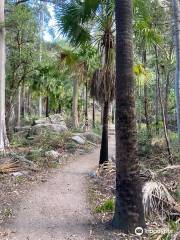 Main Gorge Walking Track