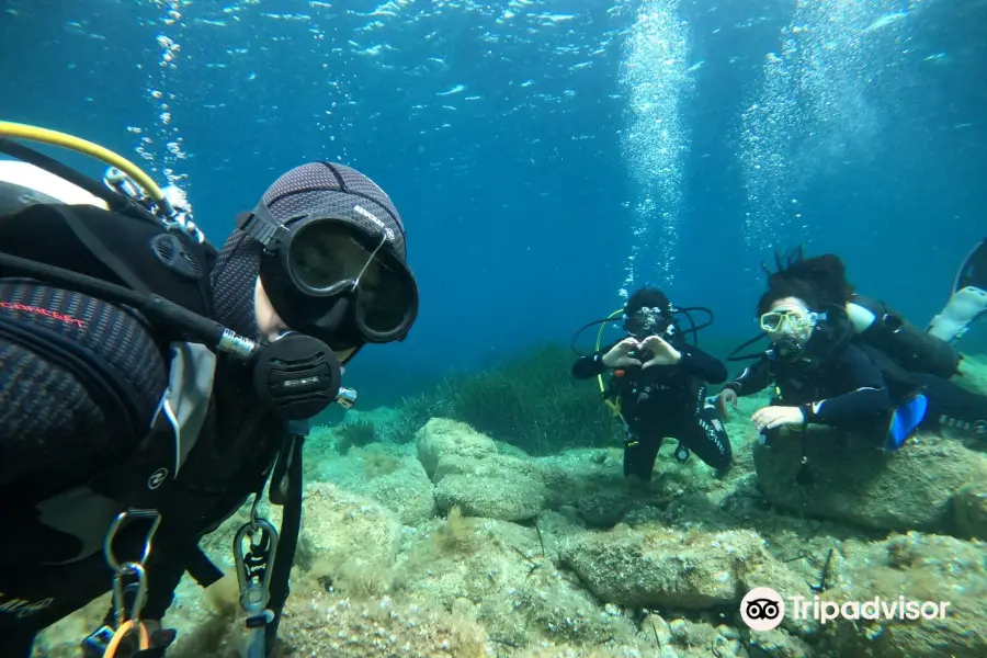 Diving School & Snorkeling Abyssos