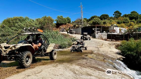 Marbella Buggys