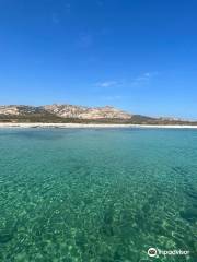 Asinara Garbo Charter