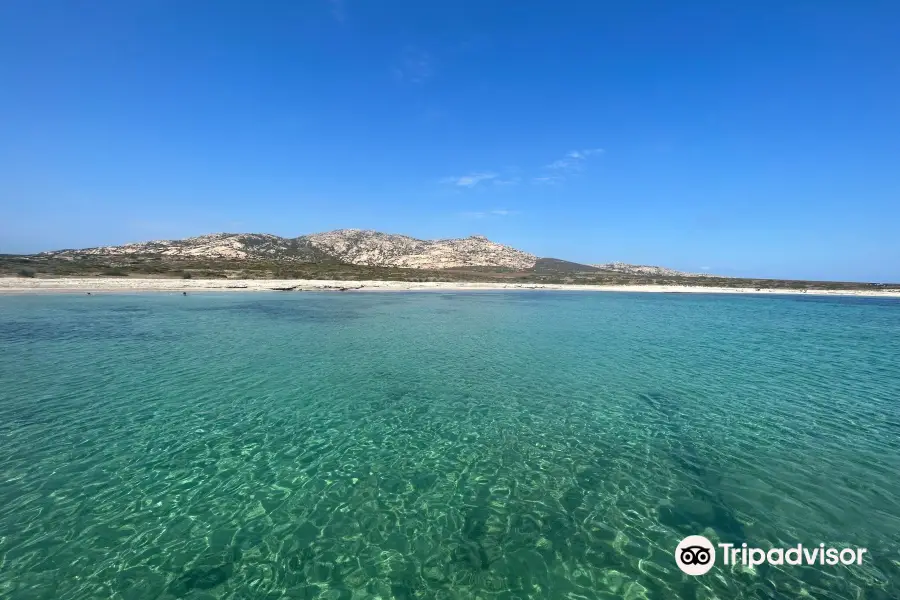 Asinara Garbo Charter