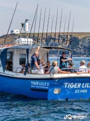 Tiger Lilly Boat Trips St Ives