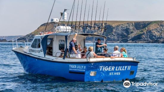 Tiger Lilly Boat Trips St Ives