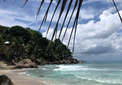 Anse Banane