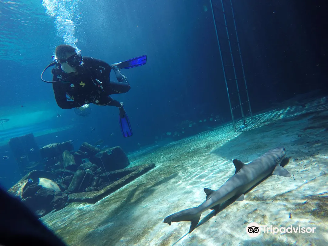 1_Blue Coast Dive Center