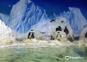 ヴィンパール水族館 タイムズ シティ