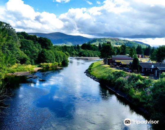 阿維莫爾 自由行套票