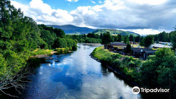 Glenmore Forest Park