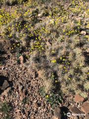 Black Hills Rockhound Area