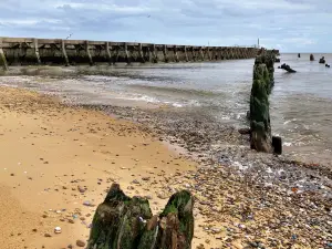 Walberswick Beach