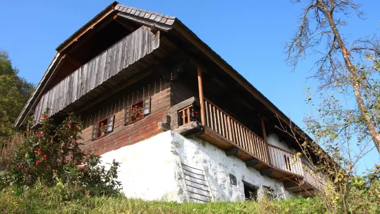 Budnar's Museum House