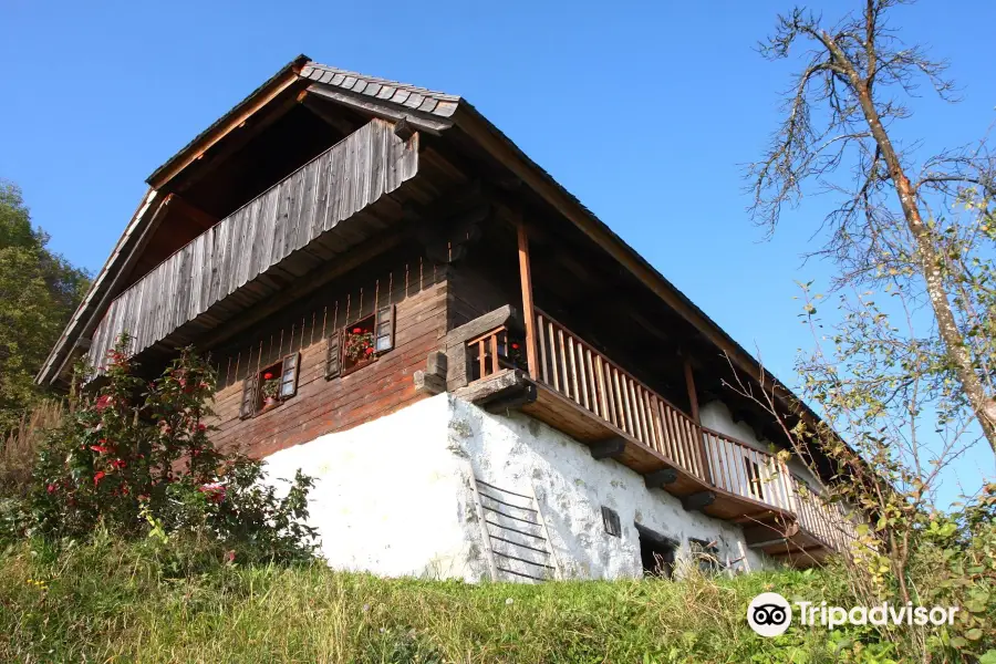 Budnar's Museum House