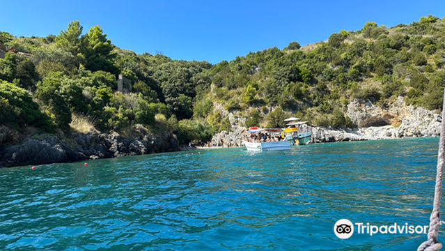 Cooperativa Cilento Blu