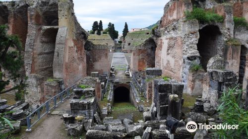 Flavian Amphitheater