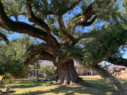 Hotels near Imperial Calcasieu Museum