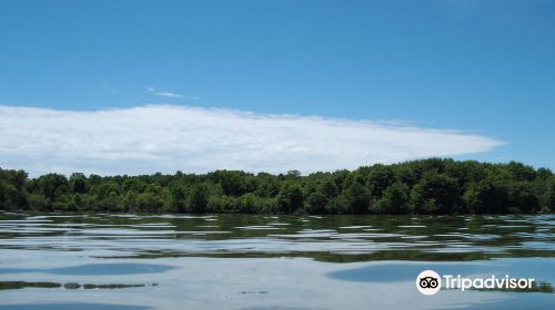 West Branch State Park