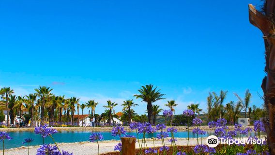 Jardim Oriental Bacalhôa Buddha Eden