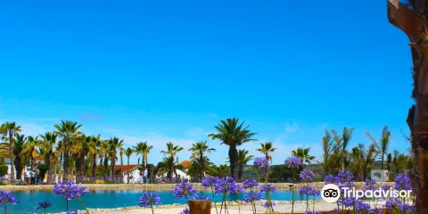 Bacalhoa Buddha Eden