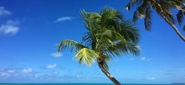 Maragogi