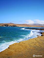 Paracas Nature Reserve