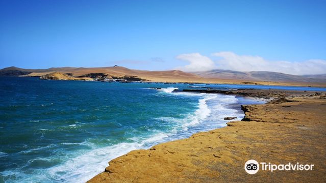 Paracas Nature Reserve
