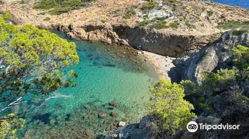 Cala de S'eixugador