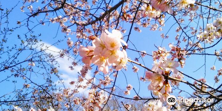 Chitose Aoba Park