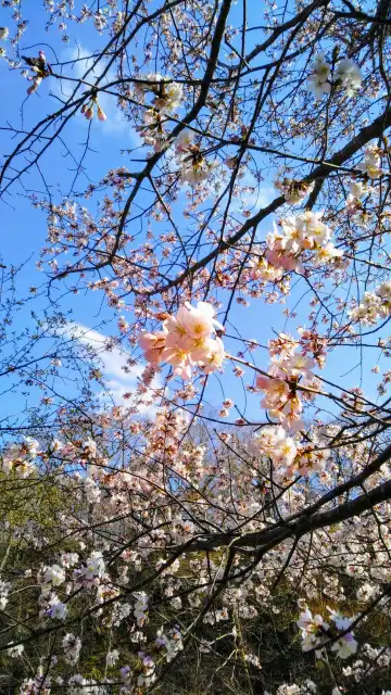 Hotels near Chitose Aoba Park