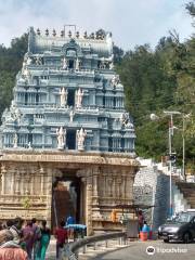 Tirumala Tirupathi Devasthanam