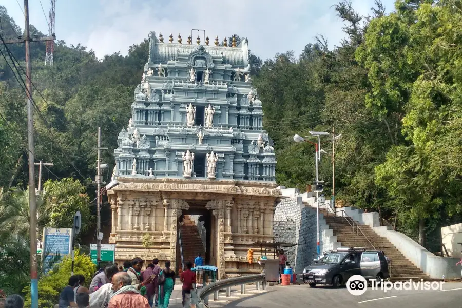 Tirumala Tirupati Devasthanam