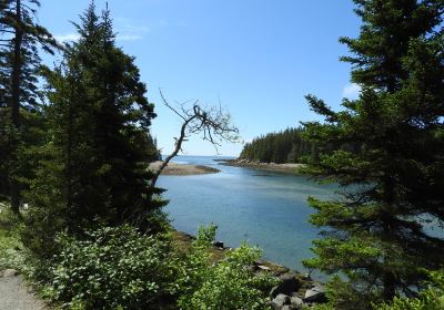 Ship Harbor Nature Trail