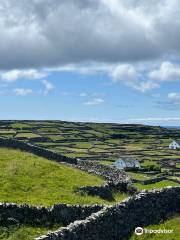 O'Brien's Castle