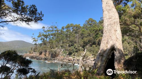 Fortescue Bay