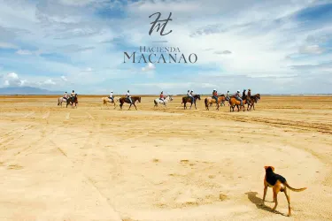 Isla de Margarita