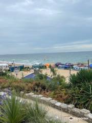 Shaka Surf Branksome