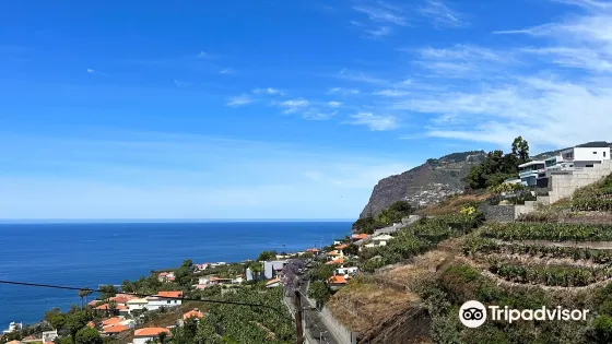 Levada do Piornais