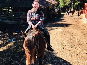 Haras Recando do Gaucho