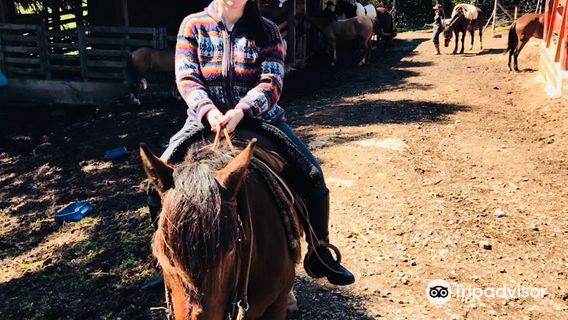 Haras Recando do Gaucho