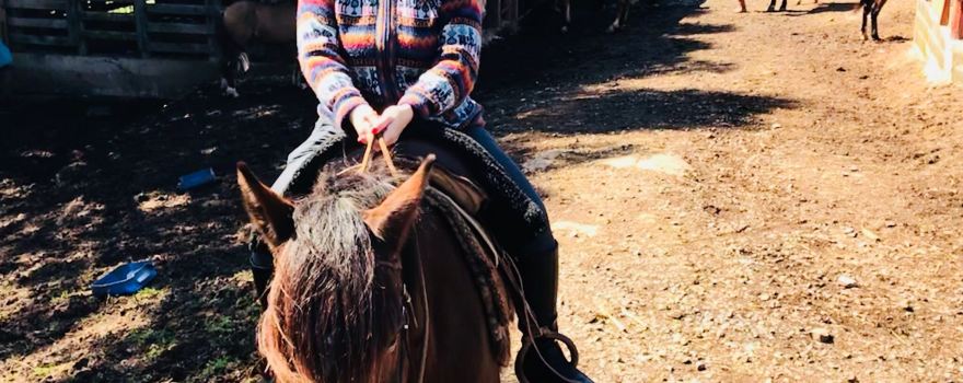 Haras Recando do Gaucho