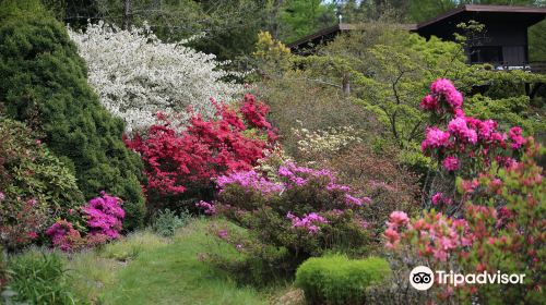 Jardin Botanique de Gondremer