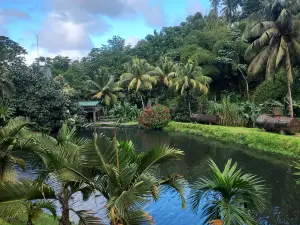 Trial Caraibe