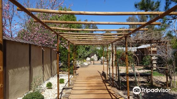 Yume Japanese Gardens of Tucson