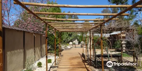 Yume Japanese Gardens