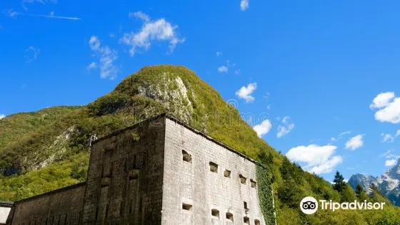 Fort Kluze