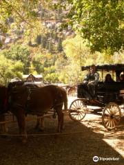 Ouray Mule & Carriage Company