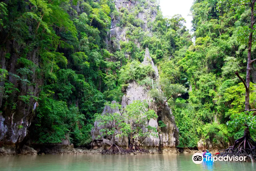 Andaman Sea Kayaks